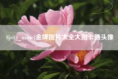 浙江金牌图片大全大图卡通头像
