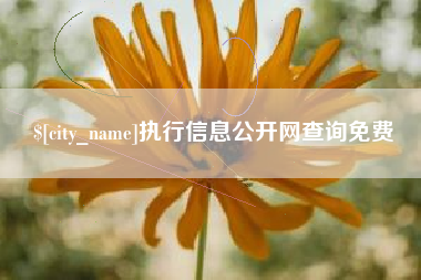 浙江执行信息公开网查询免费