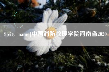 浙江中国消防救援学院河南省2020